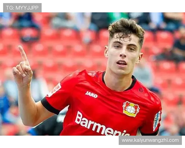 开云app网页版赞助勒沃库森的合作细节及其在足球行业中的示范效应与未来发展方向